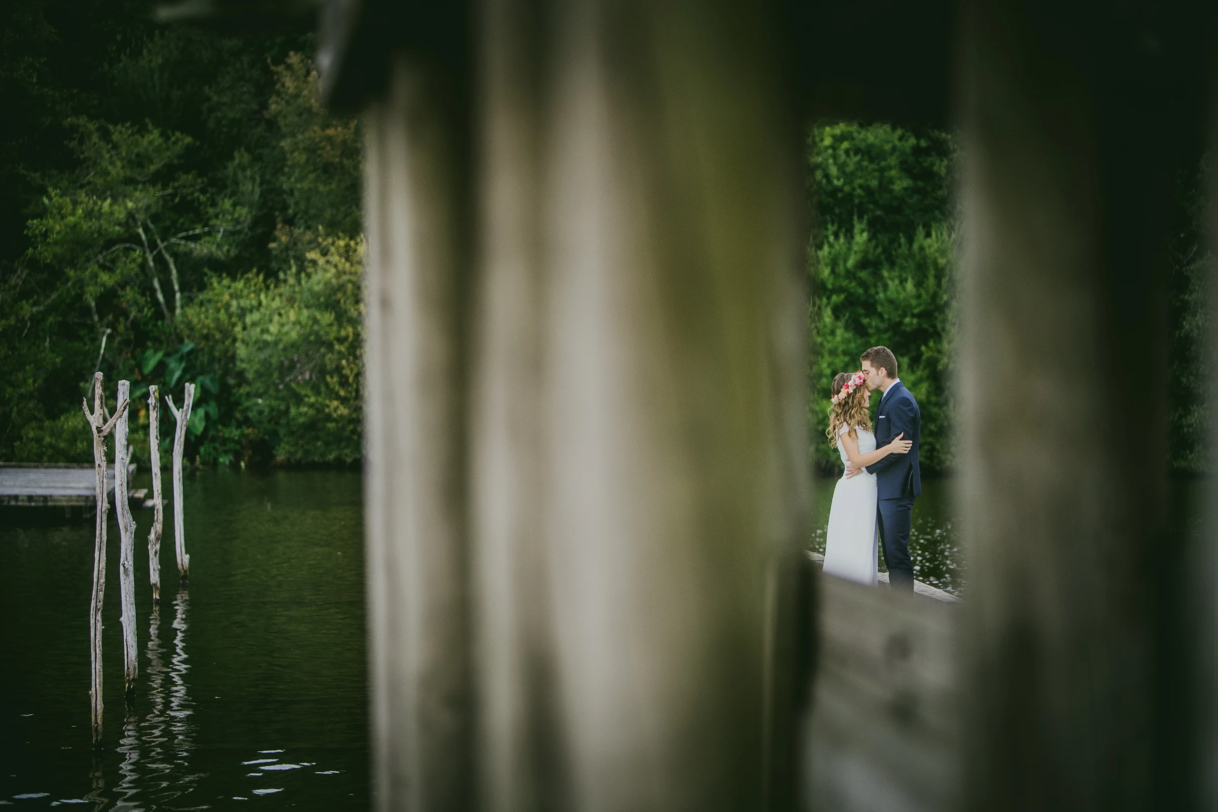 Bodas