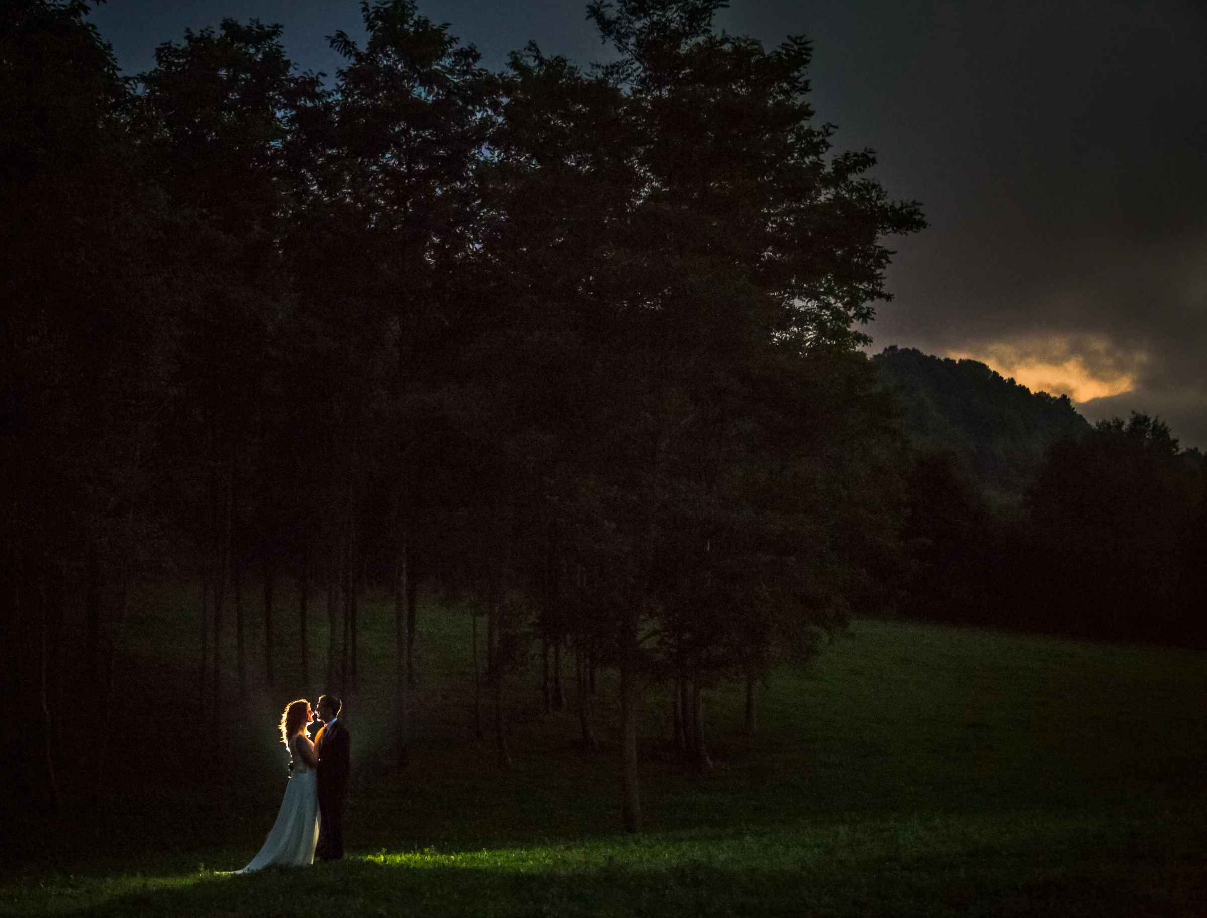 Bodas
