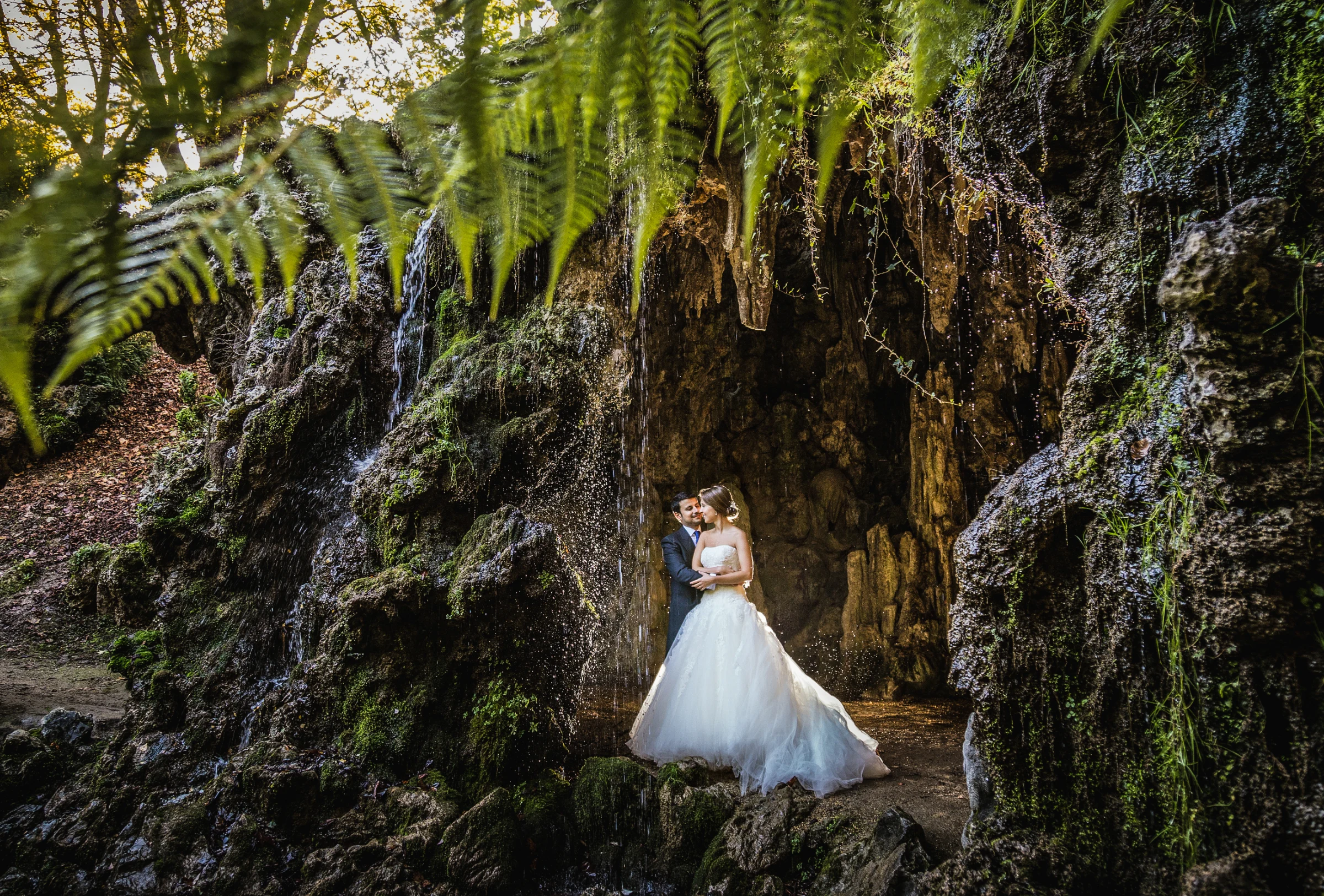 Bodas