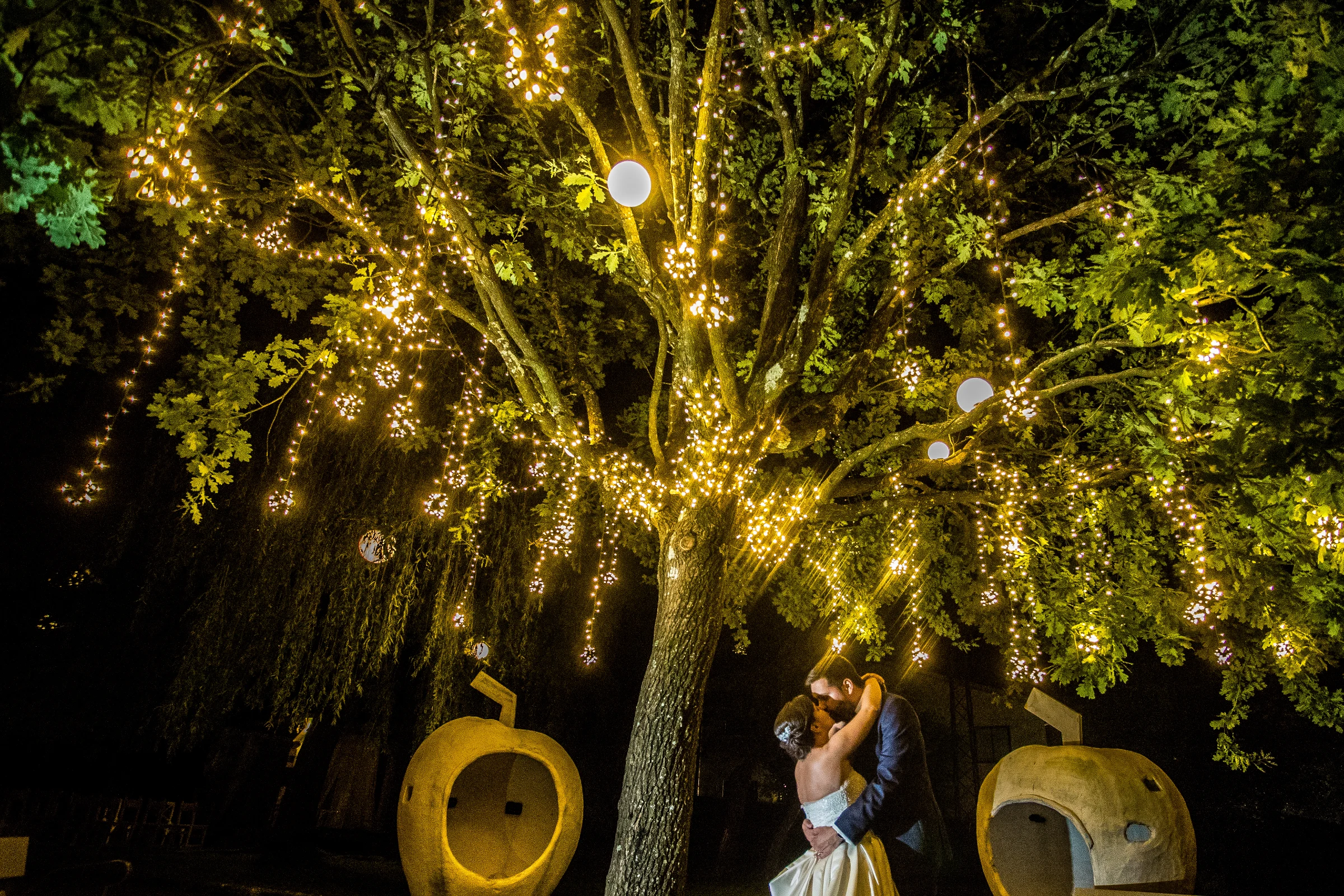 Bodas