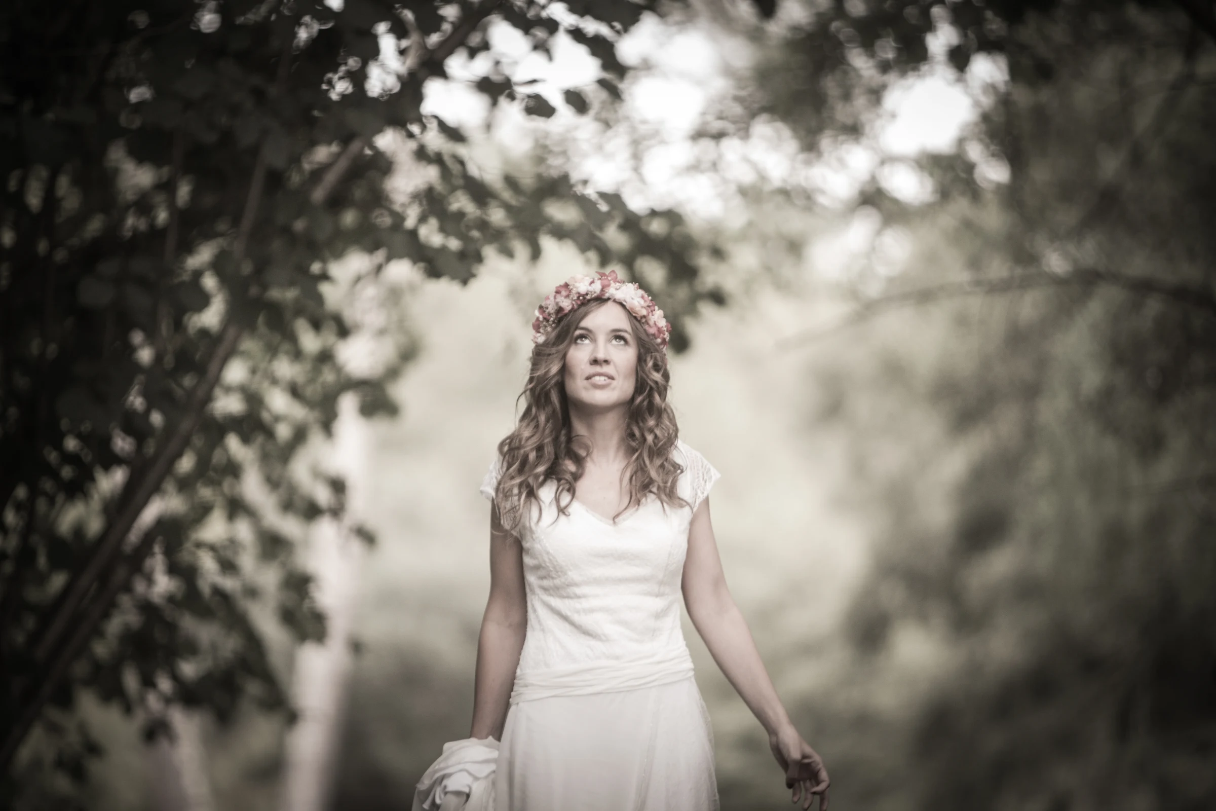 Bodas