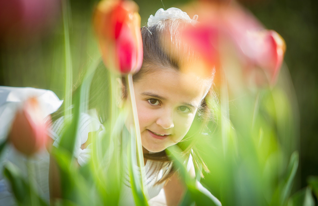 david_vicente_fotografo_donostia_gipuazkoa_bodas_comuniones_84