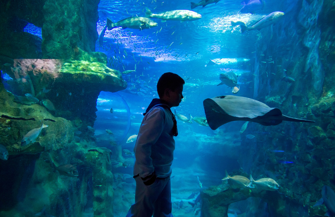 david_vicente_fotografo_donostia_gipuazkoa_bodas_comuniones_89